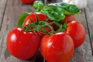 Как вырастить более крупные помидоры фото
