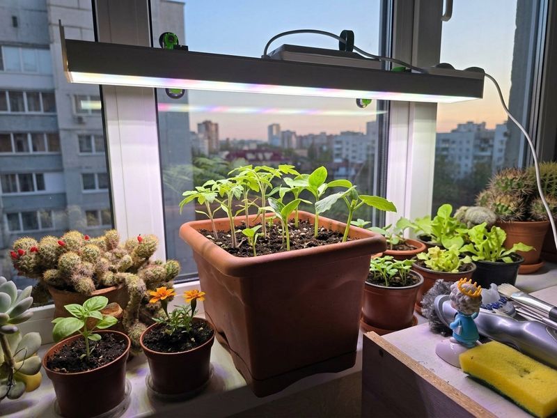 Оконный фитосветильник Solaris Window 90W 70 см SW09070 фото