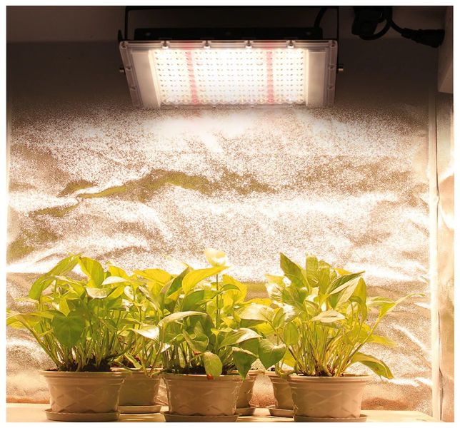 Світлодіодний світильник для рослин 50Вт Sunlike 2101 фото