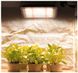Світлодіодний світильник для рослин 50Вт Sunlike 2101 фото 4