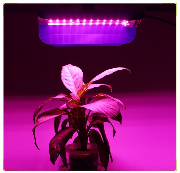 Светодиодный фитосветильнык для выращивания 100 Вт 220в 1875 фото