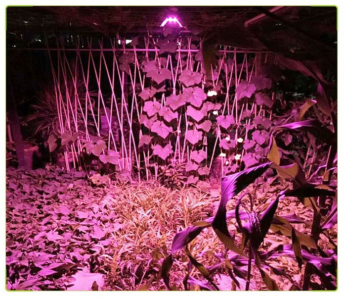 Светодиодный фитосветильнык для выращивания 100 Вт 220в 1875 фото