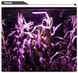 Светодиодный фитосветильнык для выращивания 100 Вт 220в 1875 фото 2