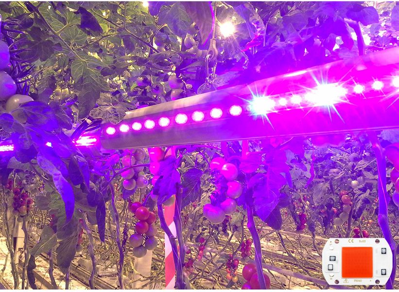 Комплект фито светодиод для растений 220В 50Вт + лінза рефлектор 1870 фото