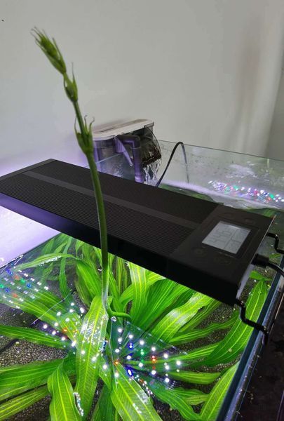 Світильник для акваріума 120 см LED 68 Вт з таймером і програмуванням