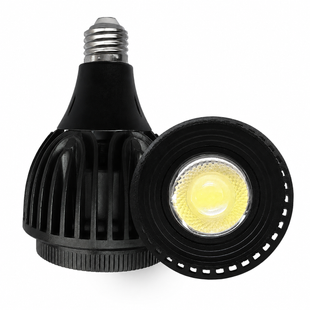 Фітолампа PAR30 Focusing 30W 6000K з регулюванням кута світіння PAR30-F6K фото