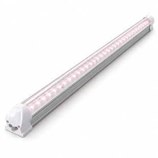 Фитосветильник LED T8 60см полный спектр дневного света для цветов и фруктов DWT8-060-20W96LED фото