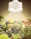 Фитолампа LED 50W Sunlike E27 &mdash; теплый белый 3000K - косметический дефект sale_GL-50-3K фото 3
